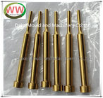 Precision grinding, Polishing,TiN coating, HSS, WS,customize punch with high surface quality